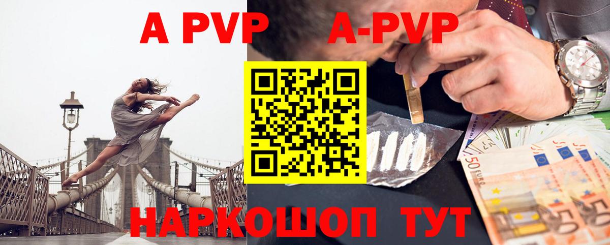 Alfa_PVP СК КРИС Новосибирск