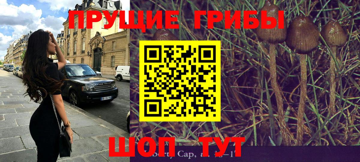 Псилоцибиновые грибы мицелий Новосибирск