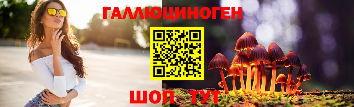 Псилоцибиновые грибы Magic Shrooms  Вход с VPN  Новосибирск 